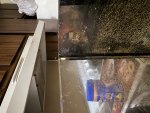 IMG_3975.jpeg