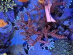 IMG_6156.jpeg