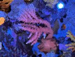 IMG_6155.jpeg