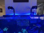 IMG_4739.jpeg