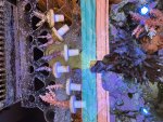 IMG_6357.jpeg