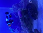 IMG_6408.jpeg