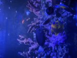 IMG_0437.jpeg
