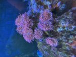 IMG_1582.jpeg