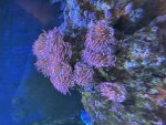 IMG_1582.jpeg