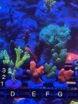 IMG_7942.jpeg