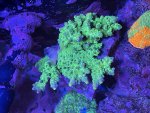 IMG_7946.jpeg