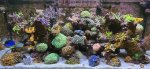 IMG_0238.jpeg
