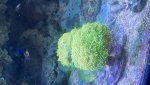 IMG_1241.jpeg