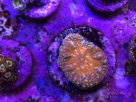IMG_1657.jpeg