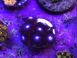 IMG_1664.jpeg