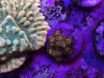 IMG_1656.jpeg