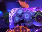 IMG_1666.jpeg