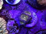 IMG_1658.jpeg