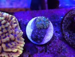 IMG_1659.jpeg