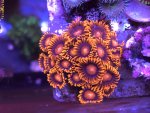 IMG_1667.jpeg