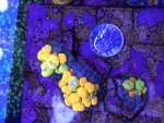 IMG_1672.jpeg