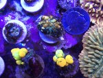 IMG_1671.jpeg