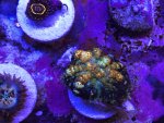 IMG_1652.jpeg