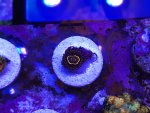 IMG_1650.jpeg