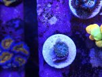 IMG_1648.jpeg