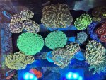 IMG_6914.jpeg