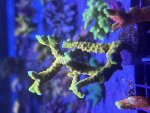 IMG_0866.jpeg