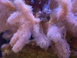 IMG_7334.JPG