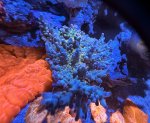 IMG_6654.jpeg