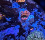 IMG_6652.jpeg