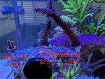 IMG_6265.jpeg