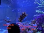 IMG_6360.jpeg