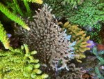 IMG_6341.jpeg