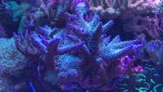 IMG_5905.jpeg