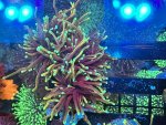 IMG_7082.jpeg