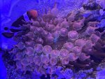 IMG_2501.jpeg