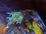 IMG_5220.jpeg