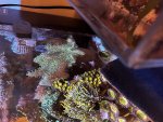 IMG_5215.jpeg