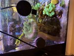 IMG_5217.jpeg