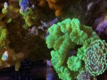 IMG_5219.jpeg