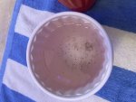 IMG_1446.jpeg