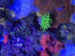 IMG_1348.jpeg
