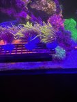 IMG_2855.jpg