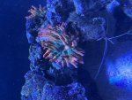 IMG_4641.jpeg