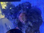 IMG_4642.jpeg