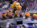 IMG_8451.jpeg