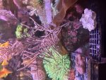 IMG_8484.jpeg