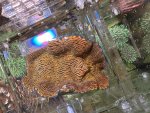 IMG_8483.jpeg
