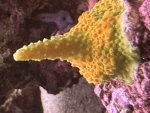 IMG_1133.jpeg