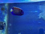 IMG_0669.jpeg